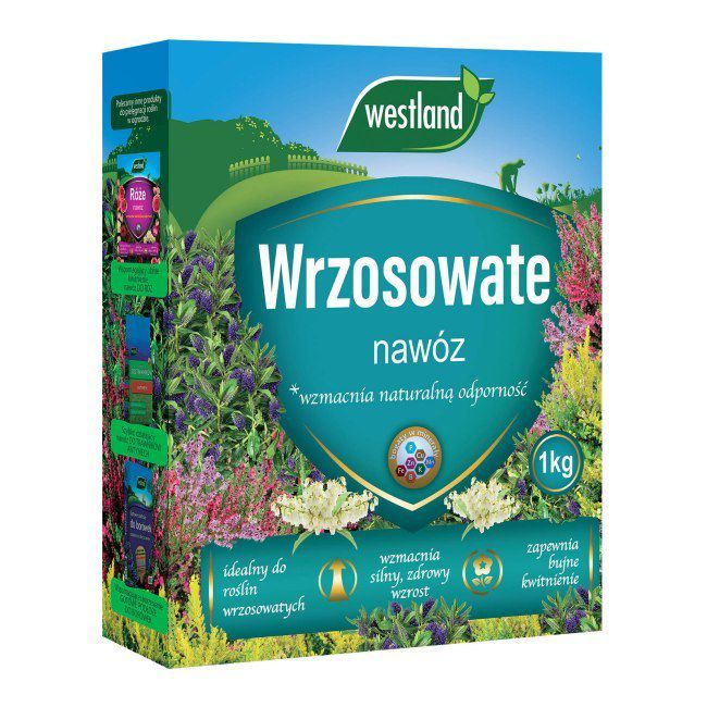 Westland Nawóz do Roślin Wrzosowatych 1kg